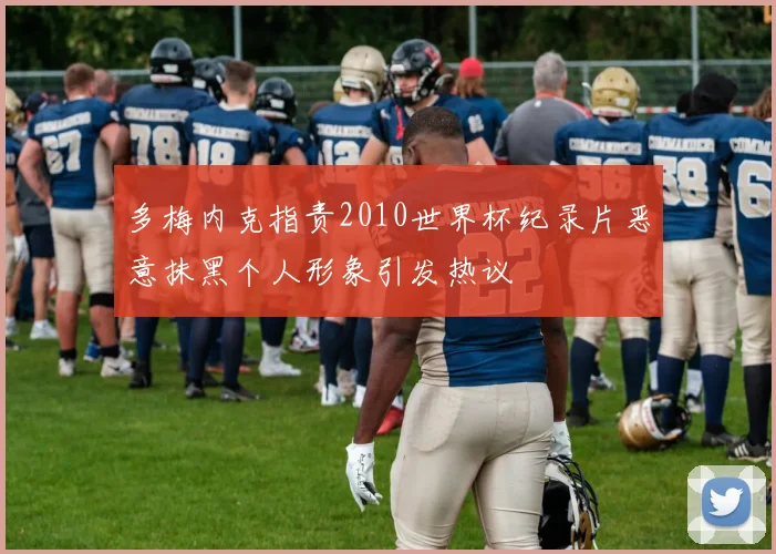 多梅内克指责2010世界杯纪录片恶意抹黑个人形象引发热议